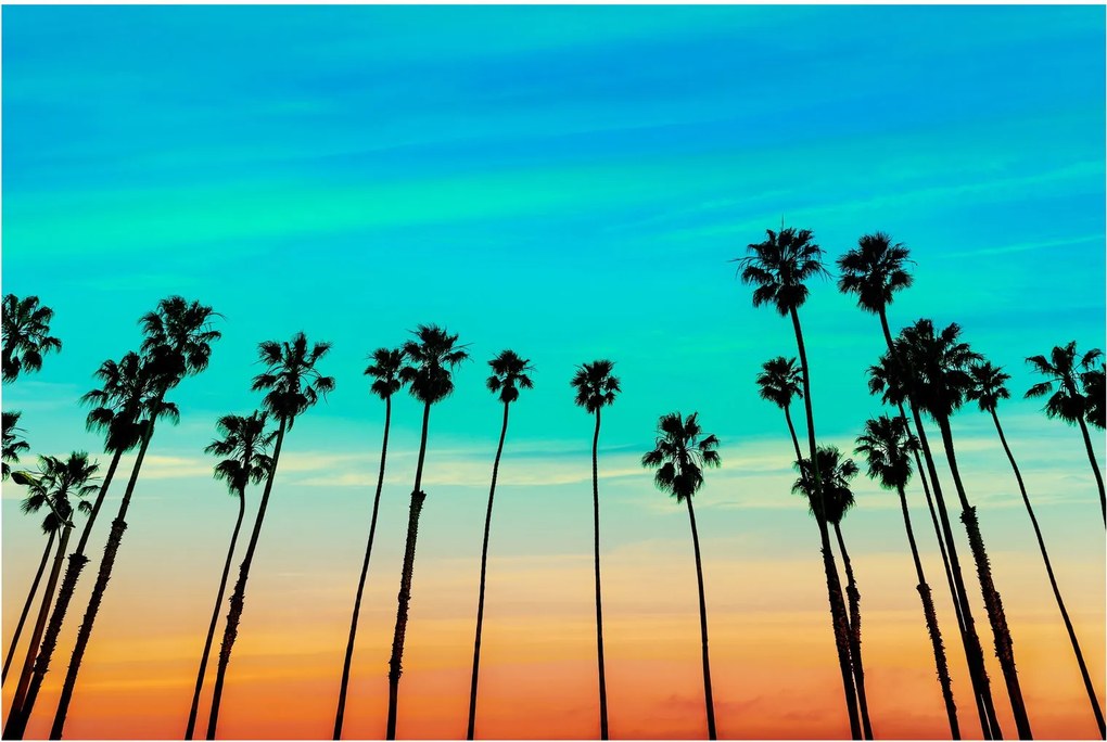 Kép - Kalifornia (90x60 cm)