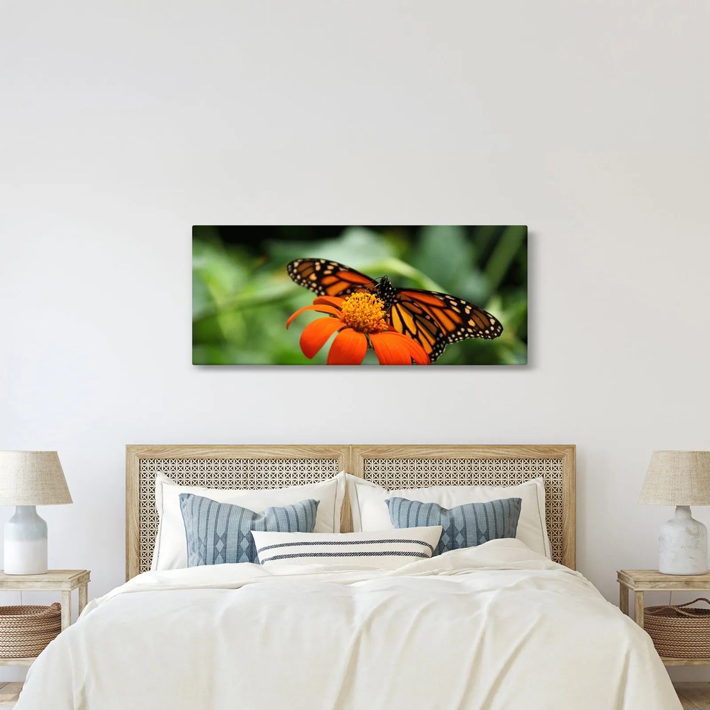 Pillangó képe a virágon (120x50 cm)
