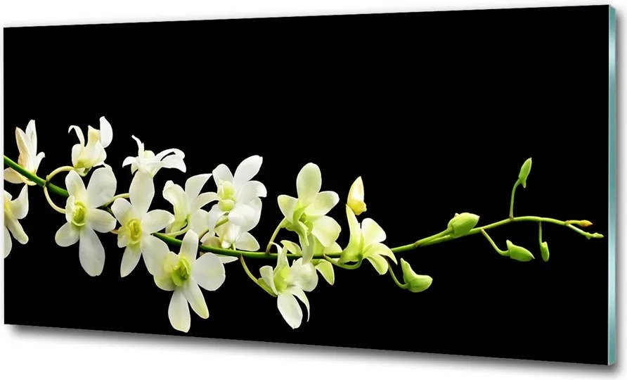 Fotó kép edzett üveg Szilva virág 100x70