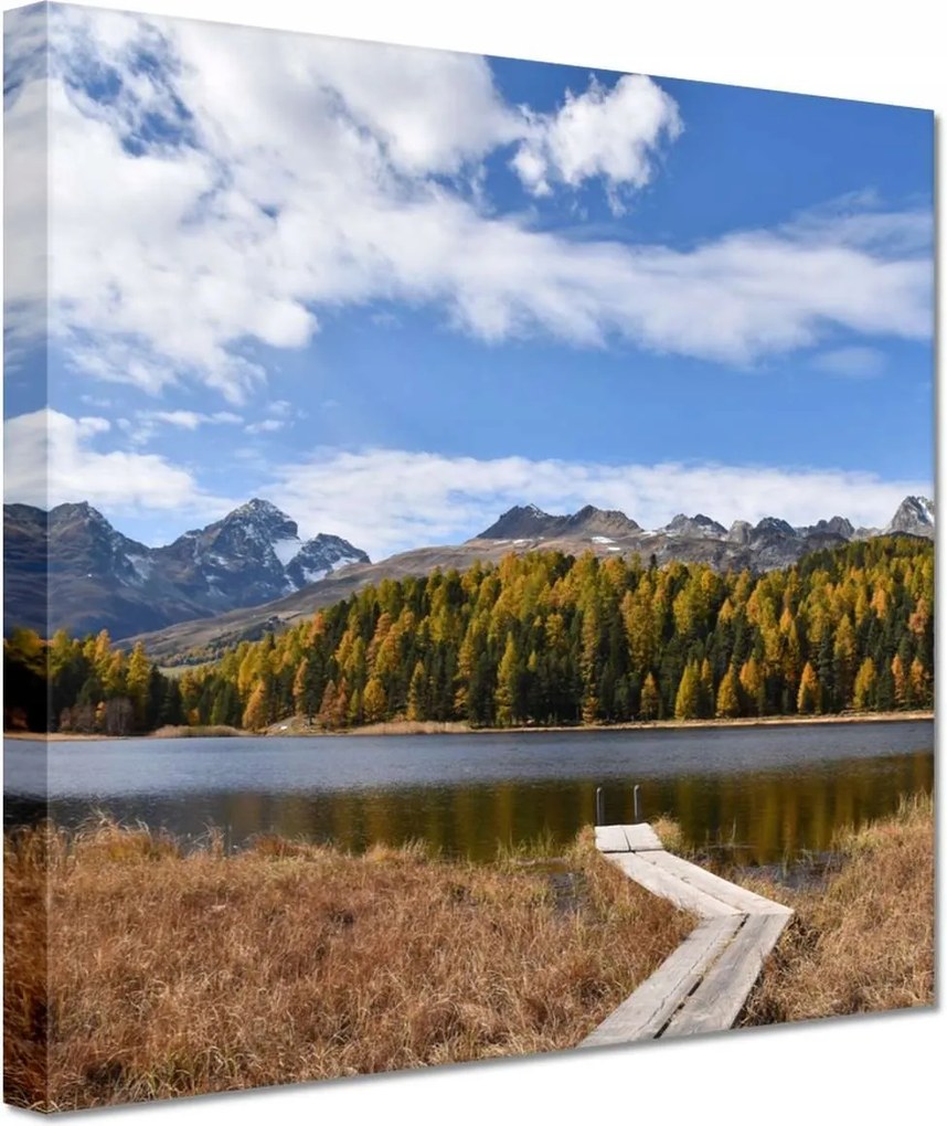 Vászonkép 60x60 Tájkép Fa híd