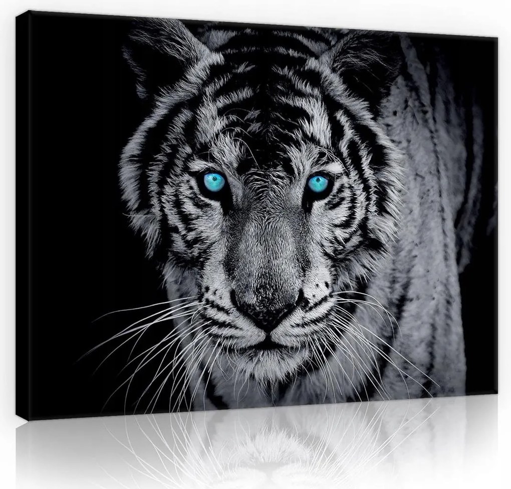 Falikép Vászonkép tigris 100x75