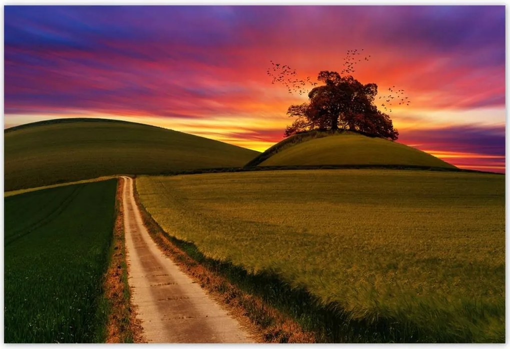 Poszterek 155x105 Naplemente Hegyek Fa