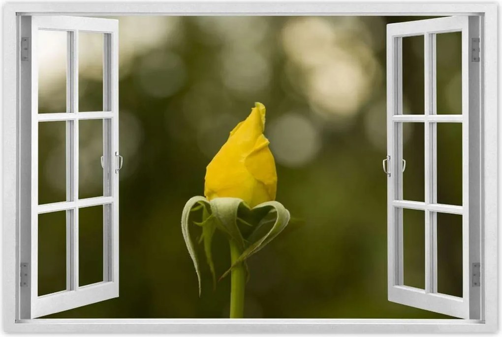 Poszterek 90x60 Sárga rózsa