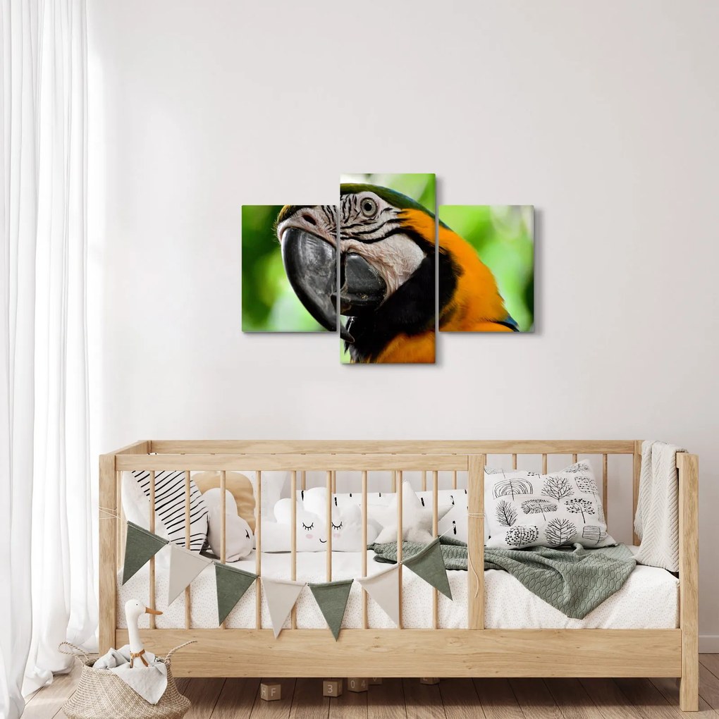 Papagáj képe (90x60 cm)