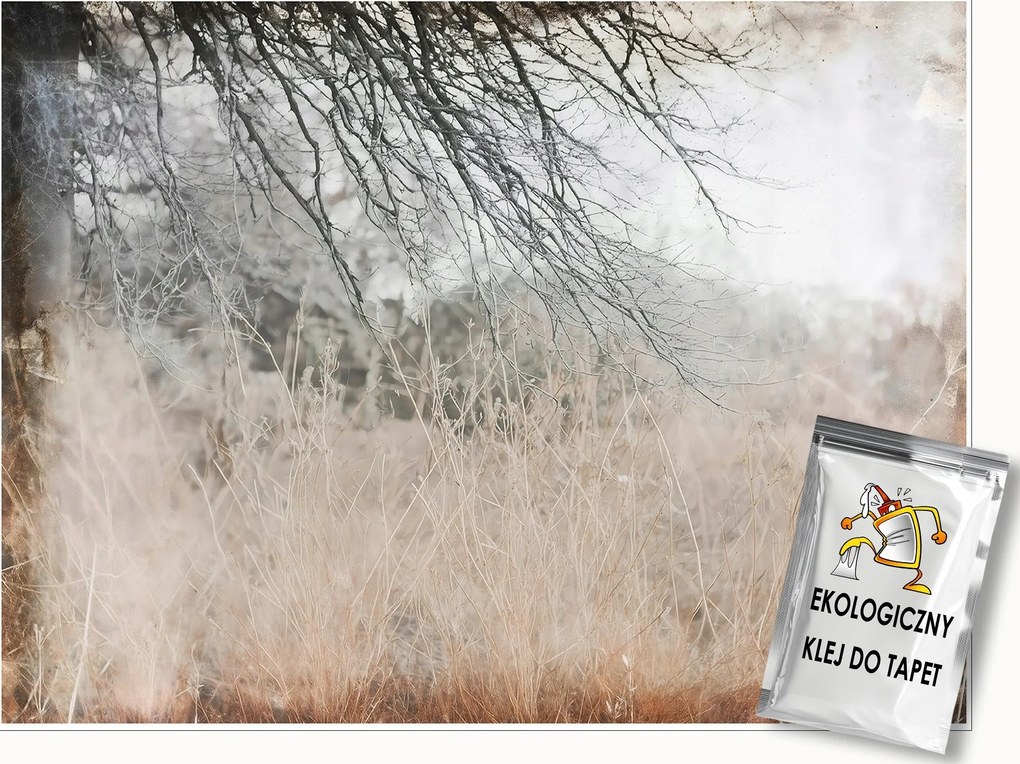 Fotótapéta Absztrakt Retro Ágak Loft Falra Hálószoba Nappali 350x250