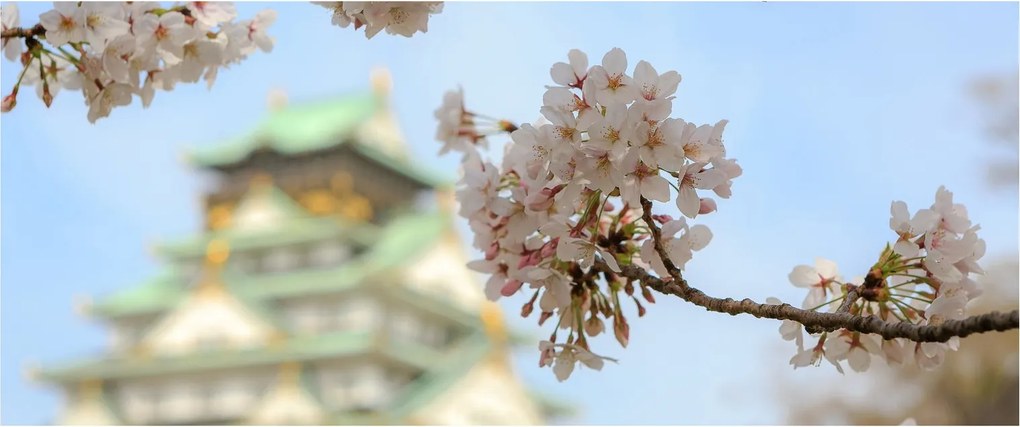 Kép - Sakura (120x50 cm)