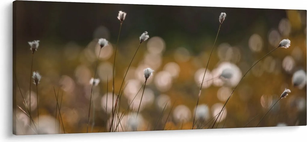 Kép - Gyapotfűvel borított rét N⁰2 (120x50 cm)