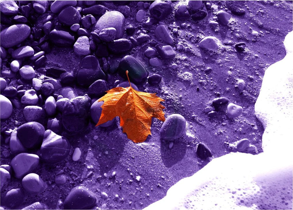 Kép - Tengerpart (üvegen) (70x50 cm)
