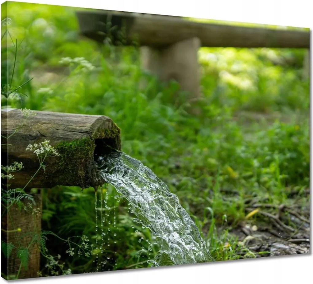 Vászonkép 50x40 Tájkép Látvány