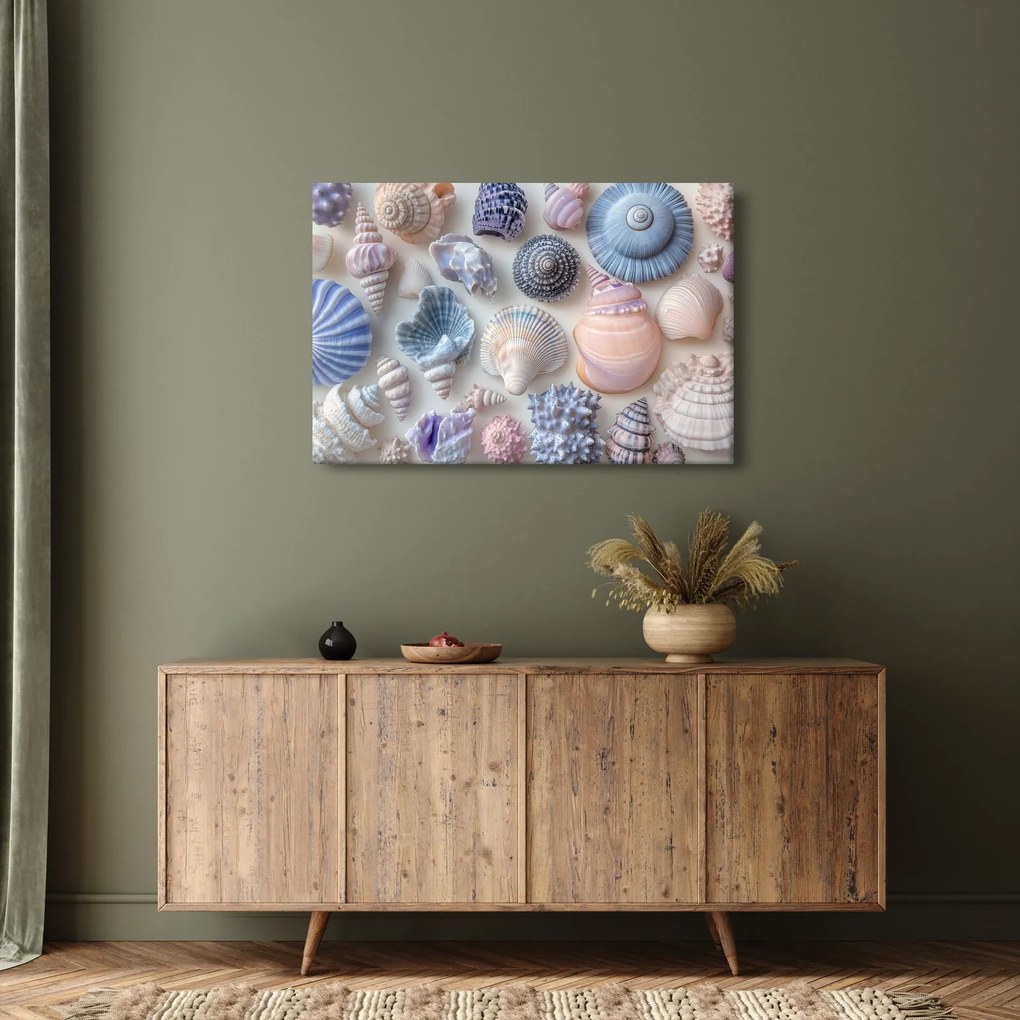 Kép - Kagylógyűjtemény (90x60 cm)