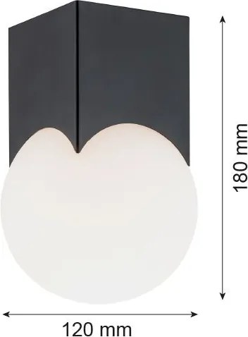 ARGON 4713 AUSTIN Modern Mennyezeti Lámpa Matt Fekete, Opál Szőnyeg E14 IP20