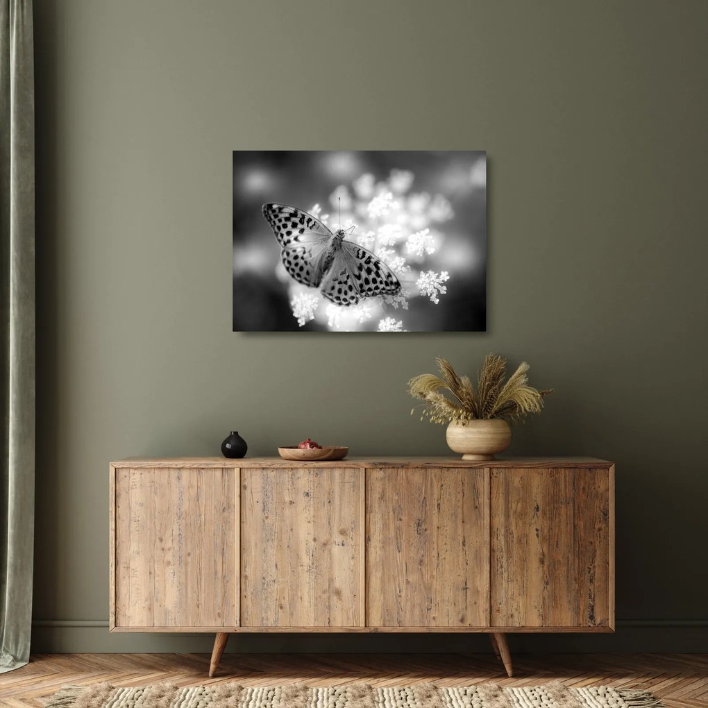 Kép - Részlet egy virágot beporzó pillangóról (üvegen) (70x50 cm)