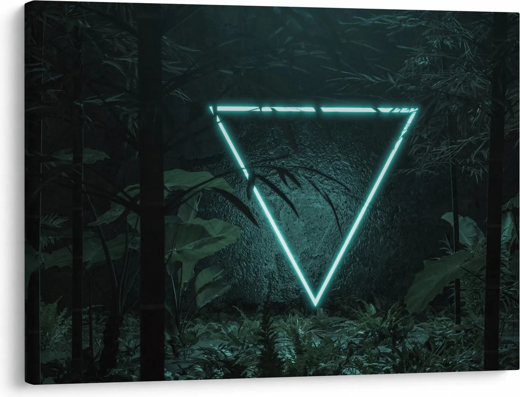 Kép - Neon háromszög a dzsungelben (70x50 cm)
