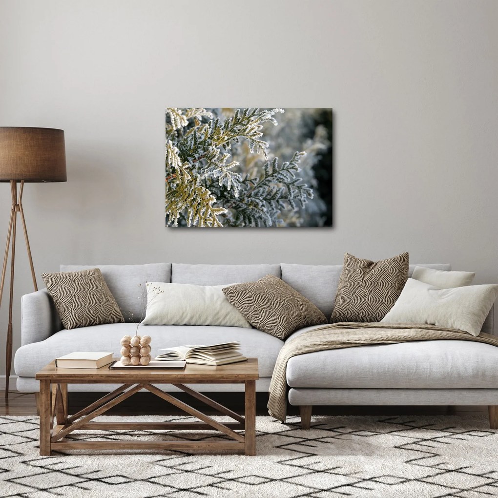 Kép - Ág részlet (70x50 cm)