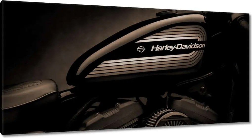 Képek 115x55 Harley Davidson Motorkerékpár