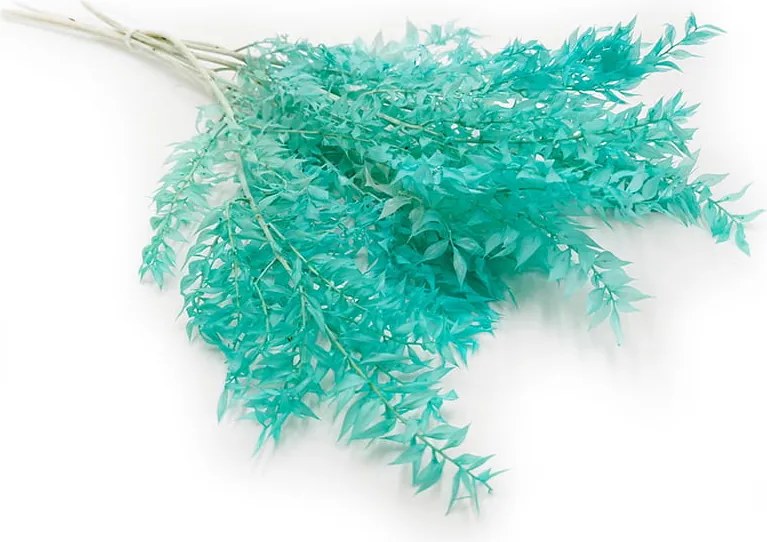 Ruszkusz stabilizált menta csokor