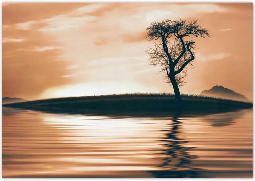 Poszterek 100x70 Fa a szigeten