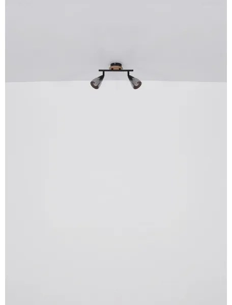 Globo 54311-2 - Spotlámpa MUBBY 2xE14/25W/230V