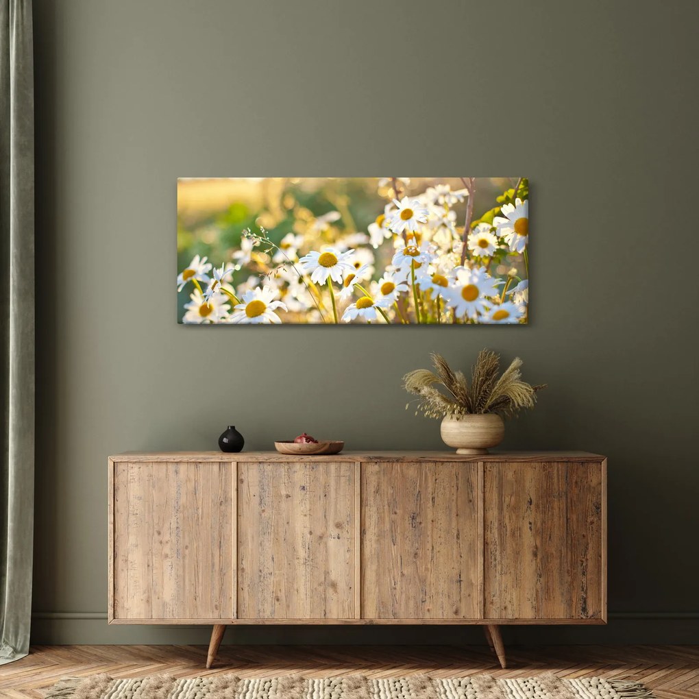 Kép - Százszorszépek (120x50 cm)
