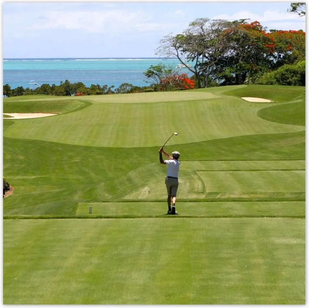 Poszterek 100x100 Golfozó a mezőn