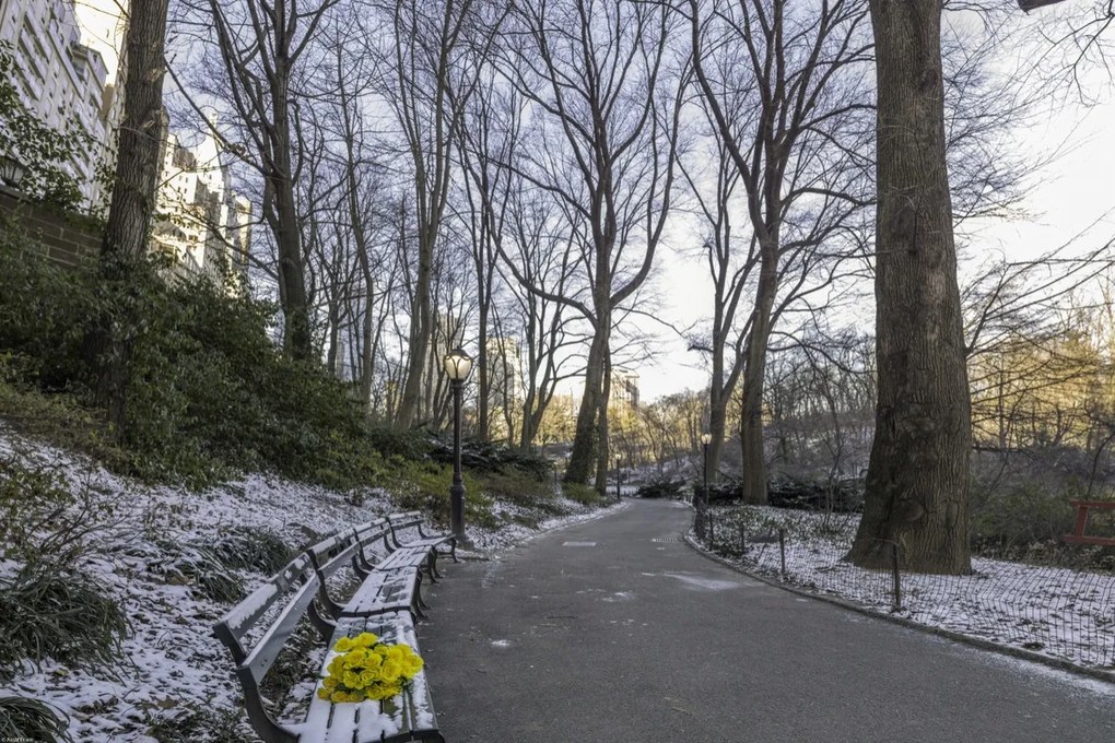 Poszter 60x40cm Egy csokor sárga virág egy padon a parkban, Assaf Frank