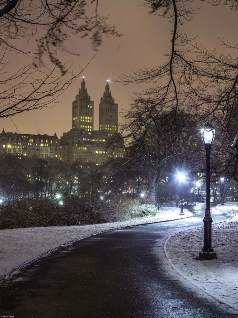 Poszter 30x40cm Ösvény a központi parkon át, Assaf Frank