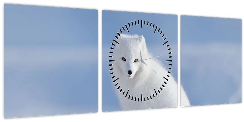 Kép - Sarki róka (órával) (90x30 cm)