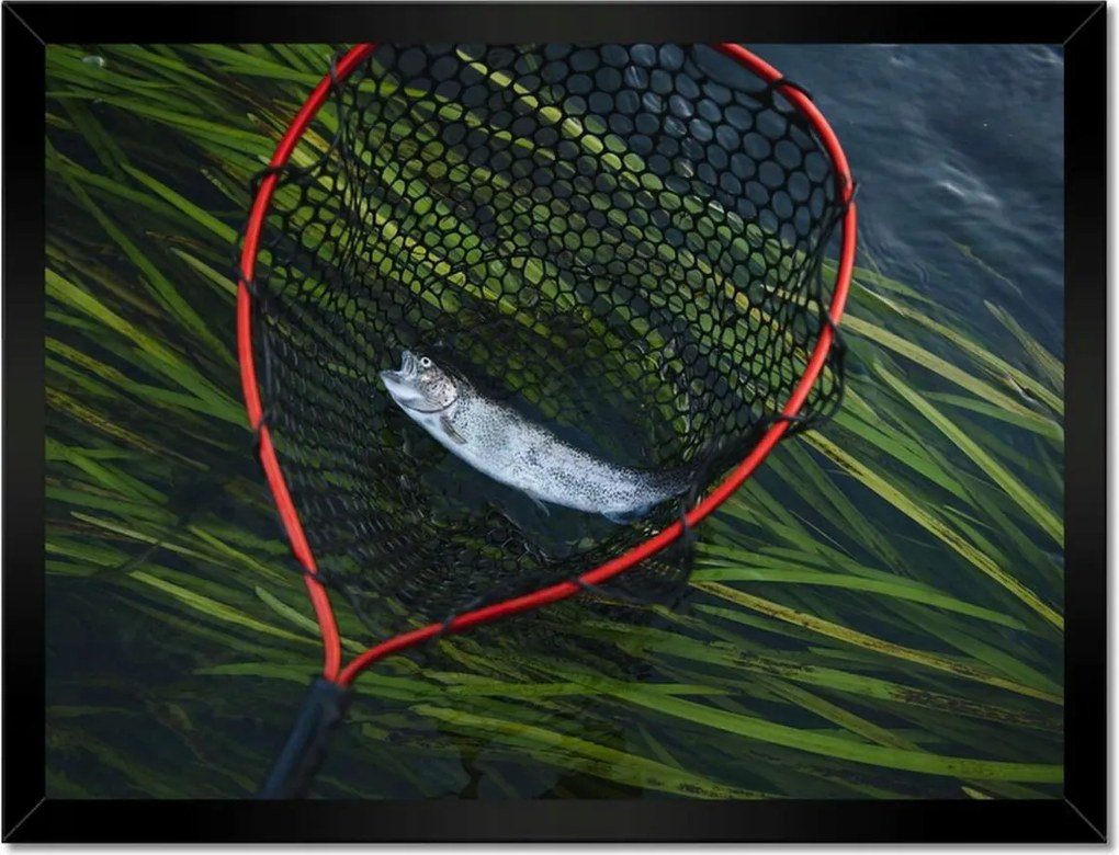 Poszterek keretben 40x30 Halász és pisztrángháló