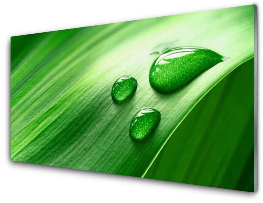 Fali üvegkép Leaf Water Drops 140x70 cm