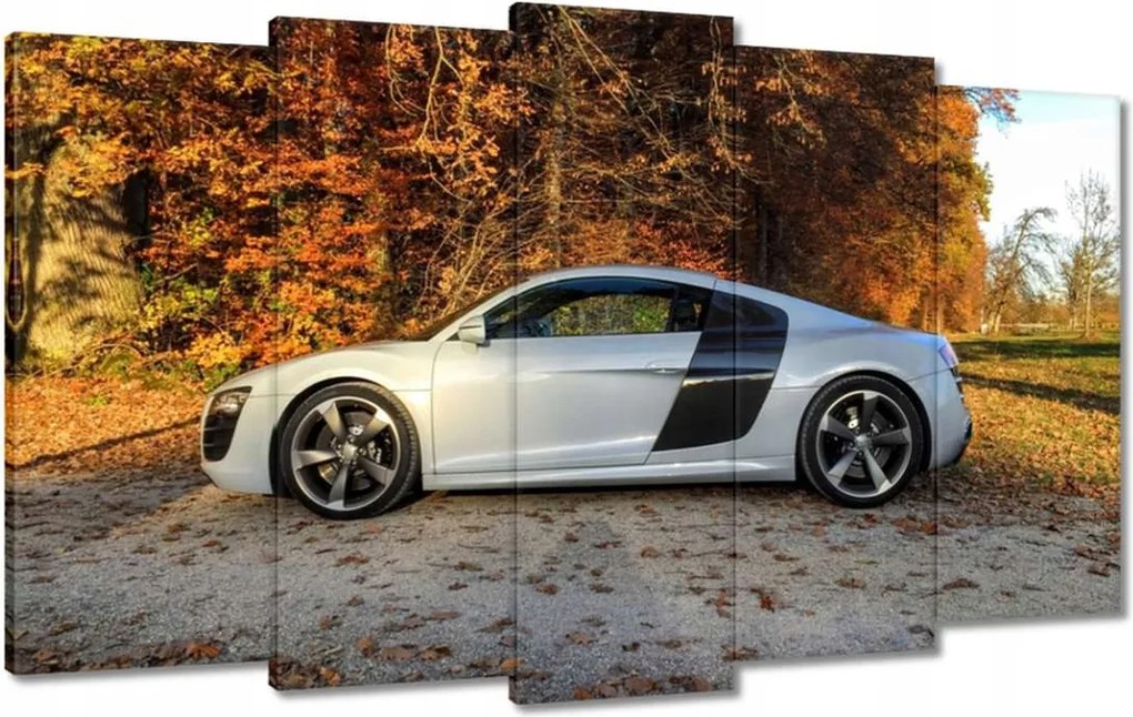 Képek 100x60 Őszi Audi Autó