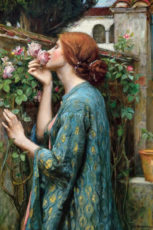 Reprodukció The Soul of The Rose, John William Waterhouse