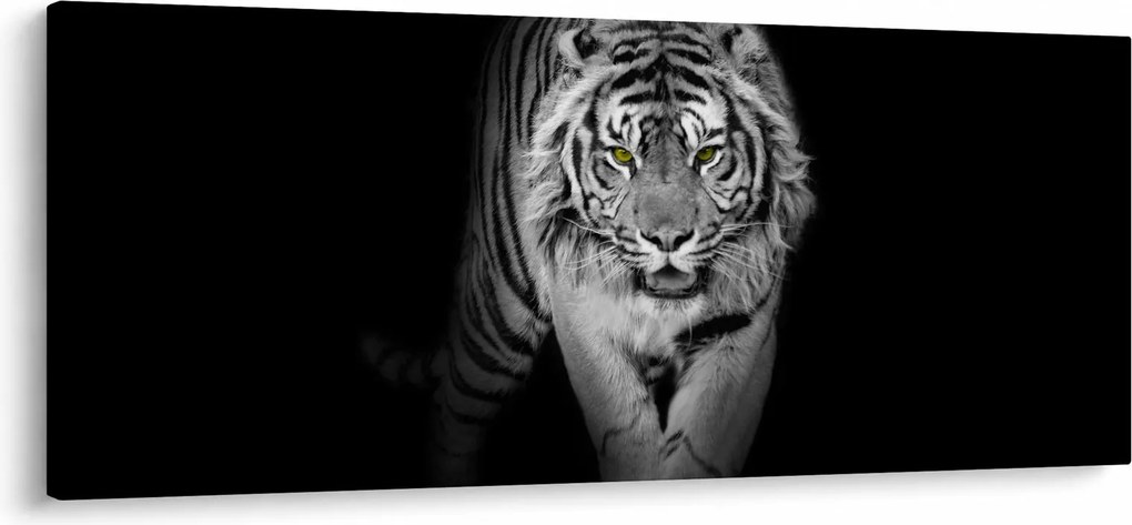 Kép - Sárga szemű tigris (120x50 cm)