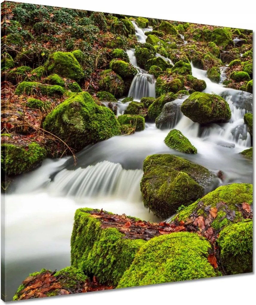 Vászonkép 60x60 Hegyi tájkép patakkal Patak a hegyekben