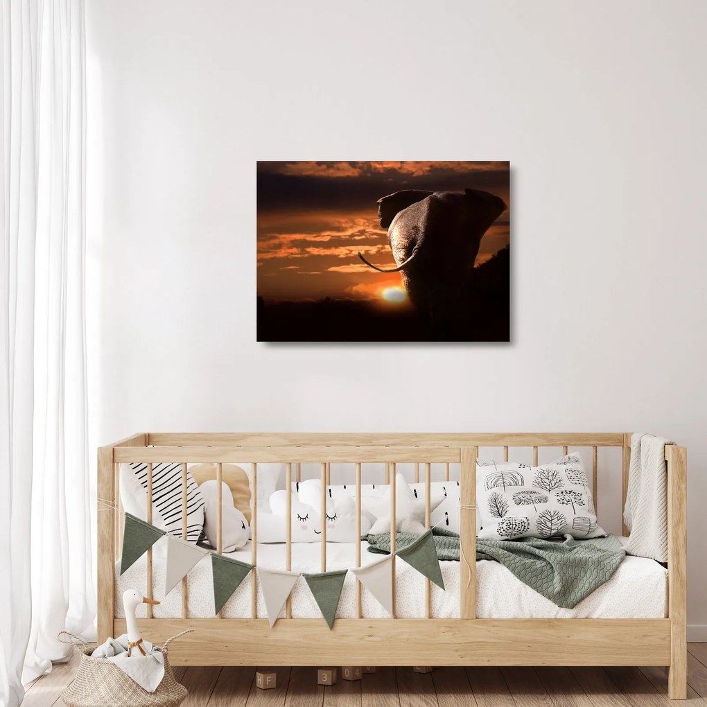 Elefánt képe (üvegen) (70x50 cm)