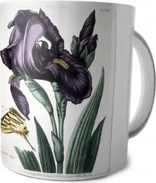 Mária Sibylla Merian széleslevelű írisz bögre