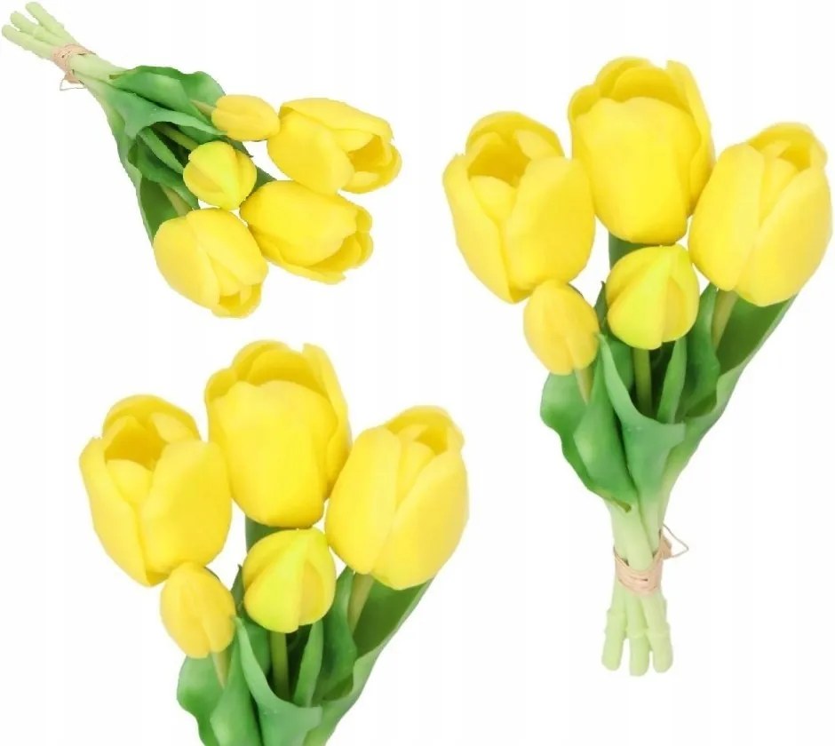 Tulipán Csokor Tulipán Gumi Gumírozott, Mint Az Élő