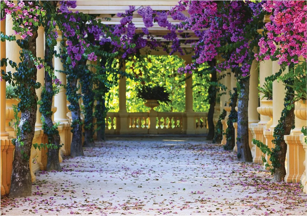 Flizelin fotótapéta Pergola rózsaszín virágok kert 300x210 +ragasztó