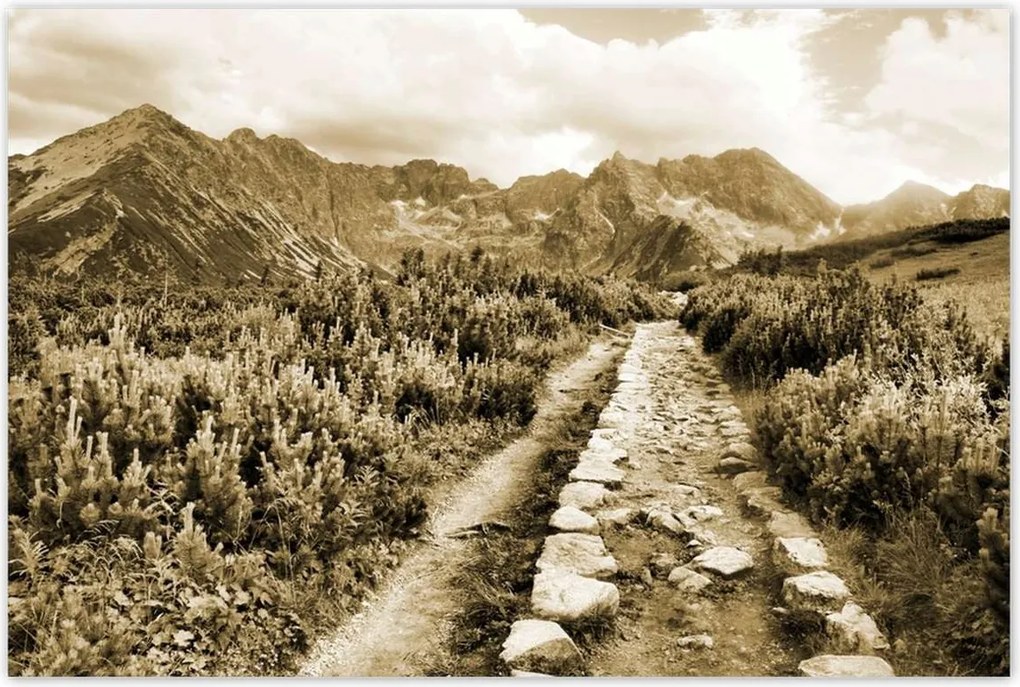 Poszterek 120x80 Tátra Lengyel hegyek Kilátás