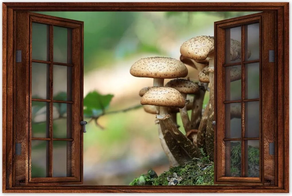 Poszterek 120x80 Gomba az erdőben Közelkép