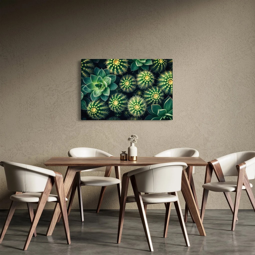 Kép - Kaktuszok (90x60 cm)