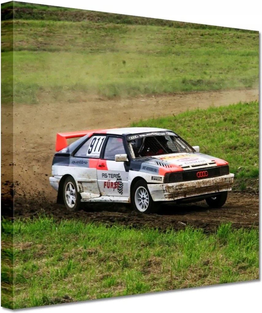 Vászonkép 60x60 Audi Quattro terepen