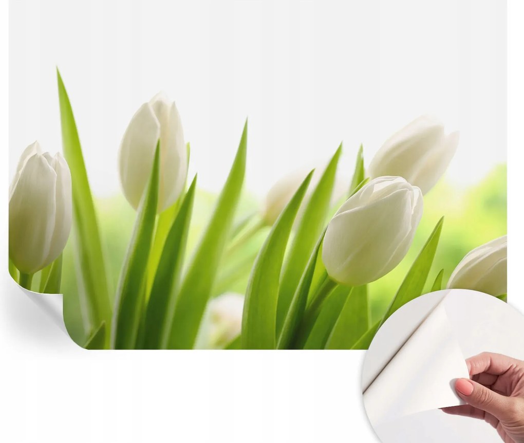 Dekoratív Öntapadós Tapéta Divatos Minták Fehér tulipánok 208x146 cm