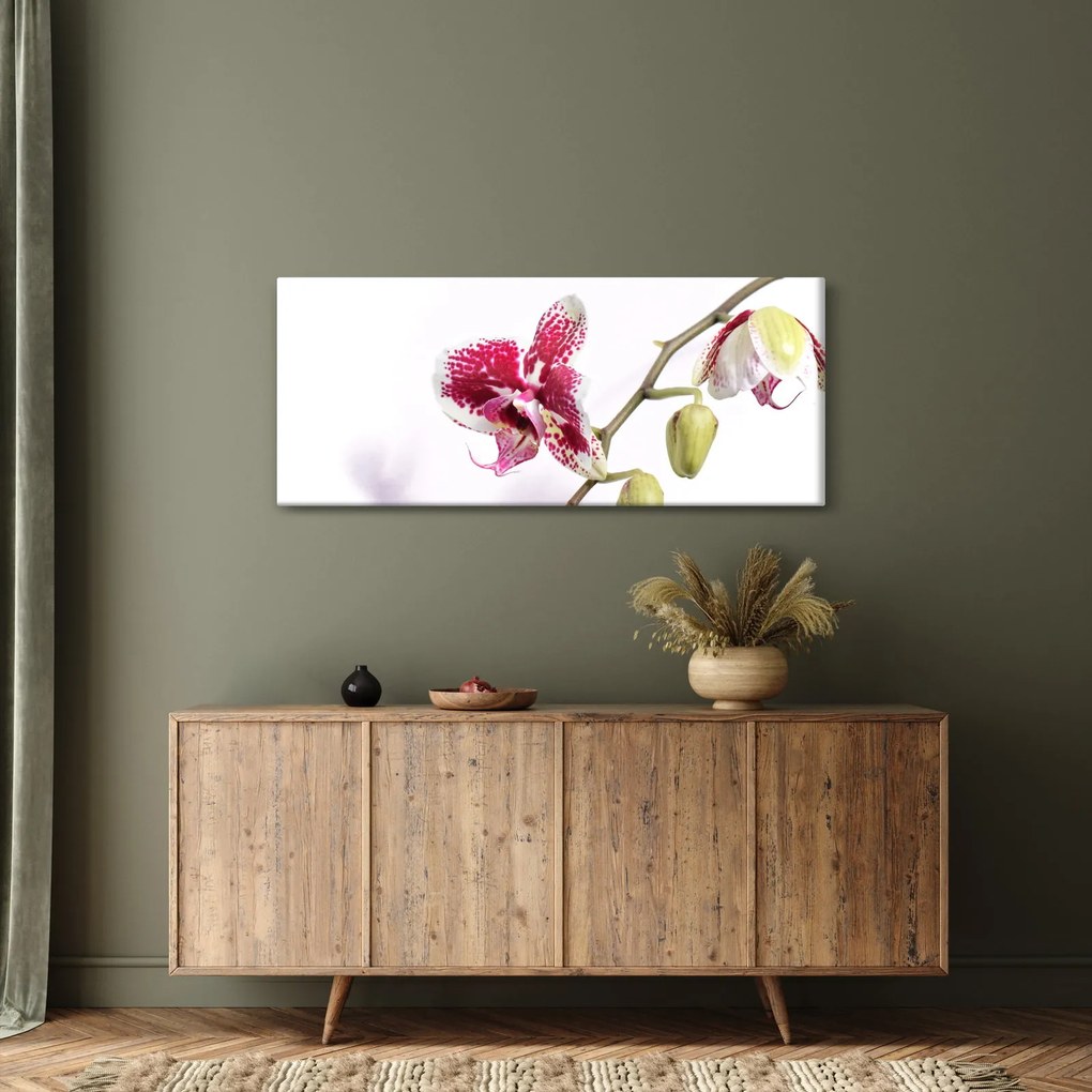 Orchidea virág képe (120x50 cm)