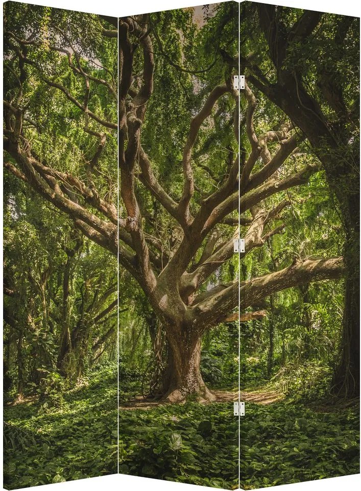 Paraván - Fa (126x170 cm)