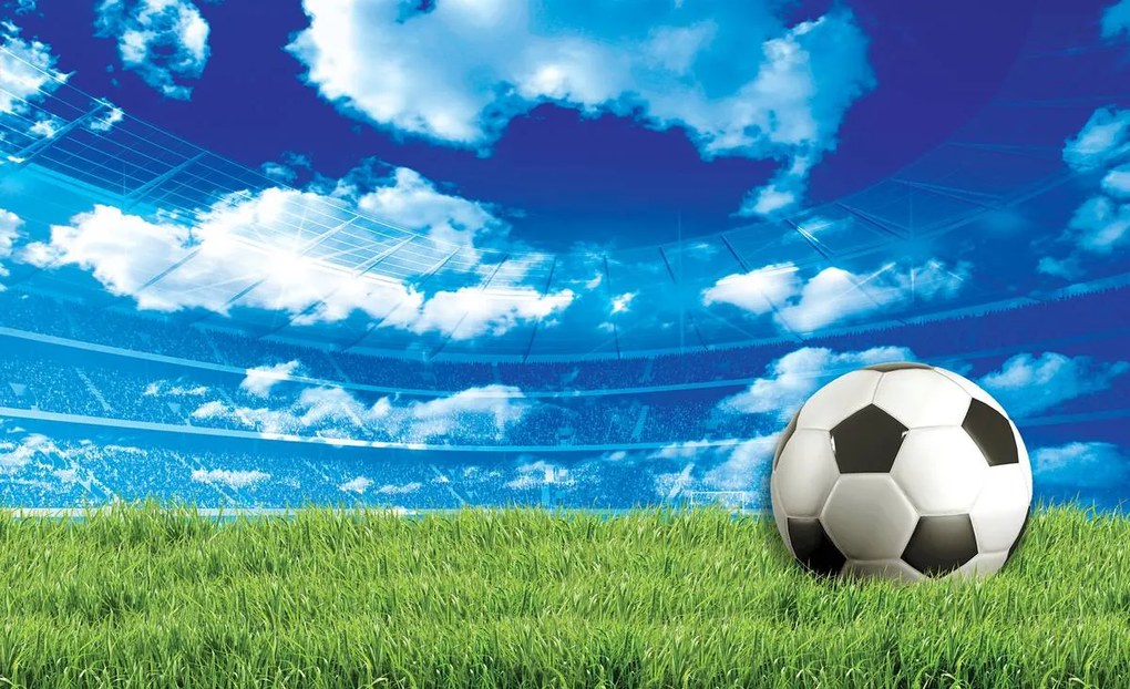 Fotótapéta - Futball a füvön (254x184 cm)