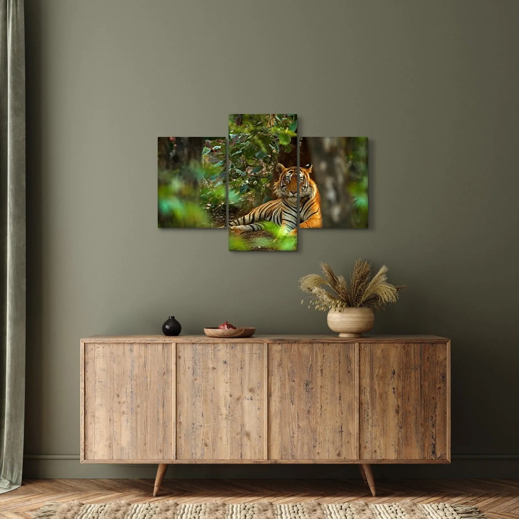 Pihenő tigris képe (90x60 cm)