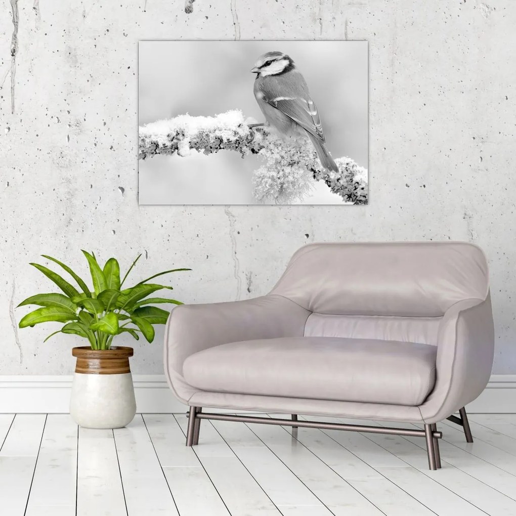 Üveg kép - Egy madár egy ágon (70x50 cm)