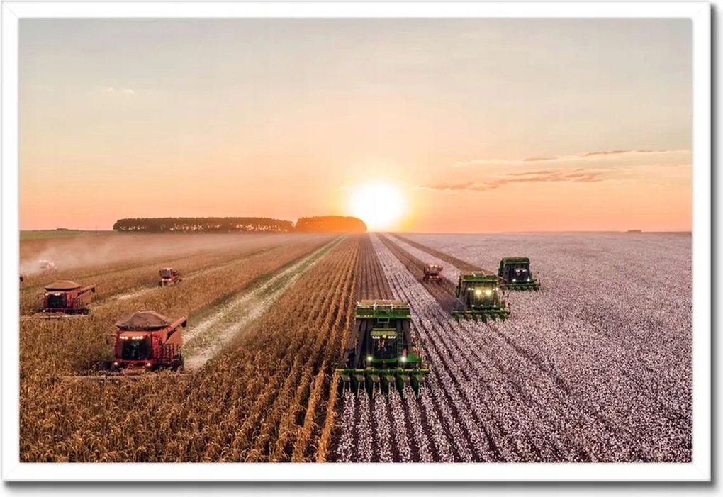 Poszterek keretben 60x40 Aratás Mezőgazdaság Kombájn