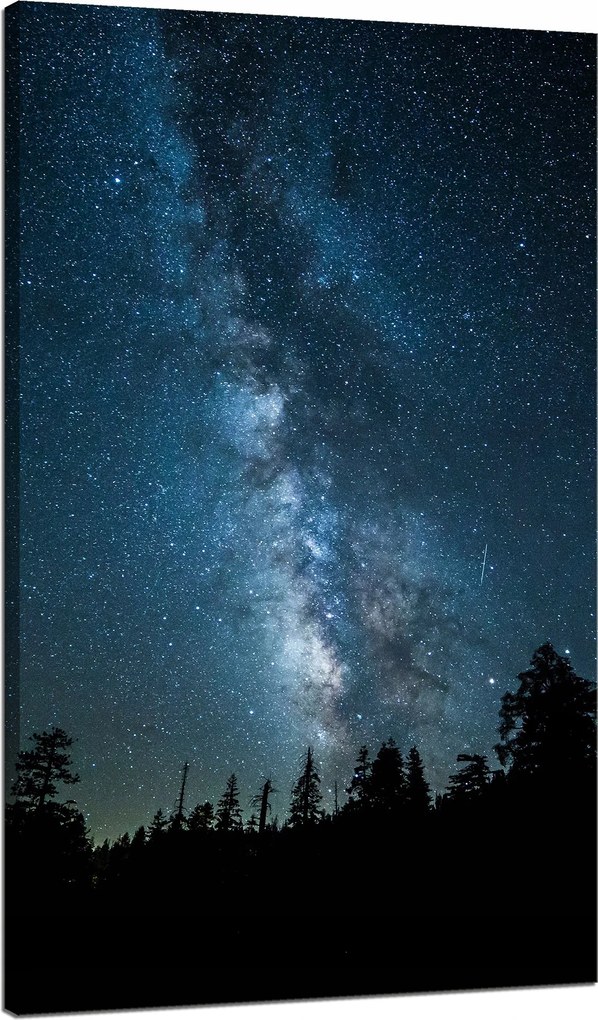 Vászonkép Kozmosz Éjszaka Erdő Köd Természet Csillagászat 70x120