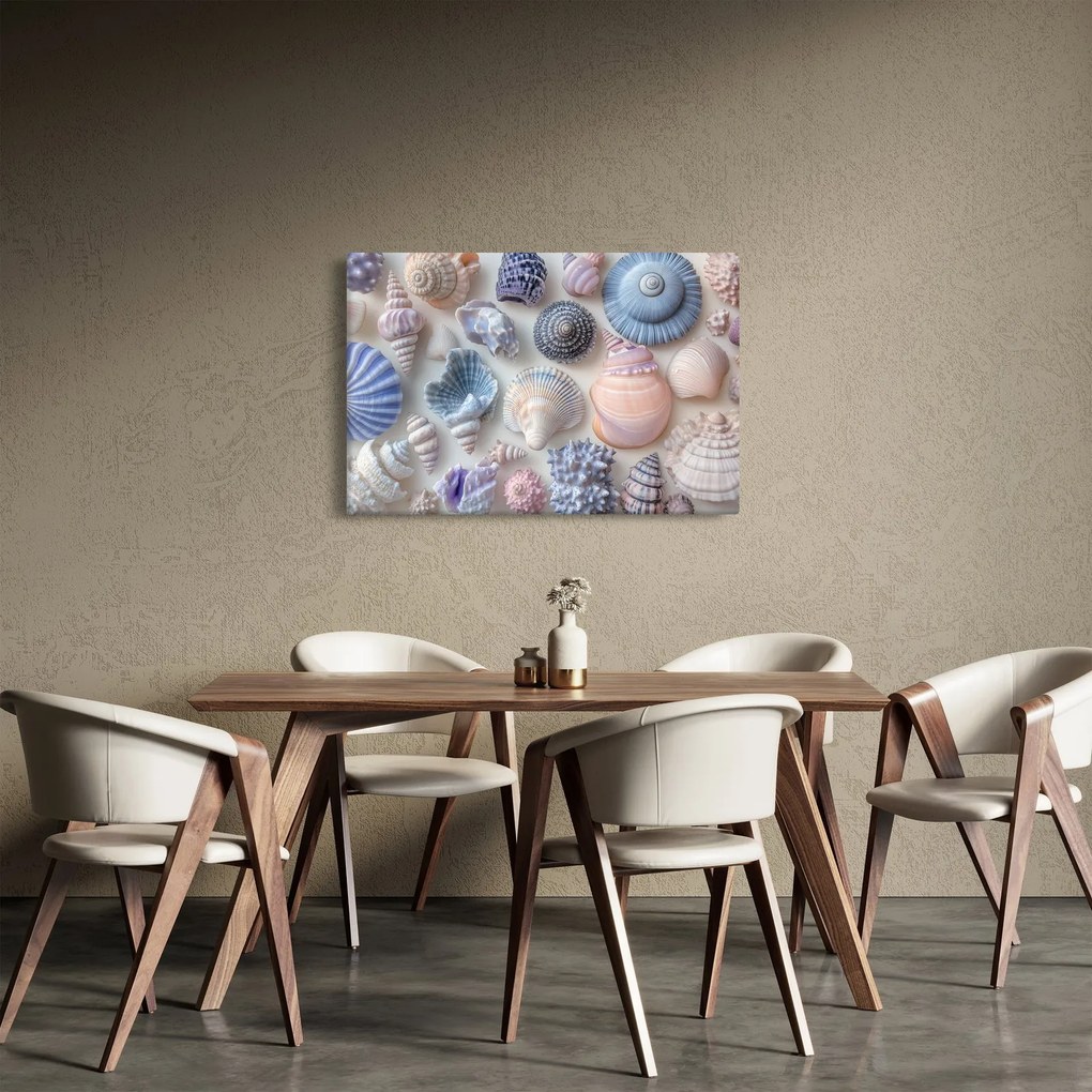 Kép - Kagylógyűjtemény (90x60 cm)